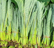 Dasheen Bush Imported From Trinidad